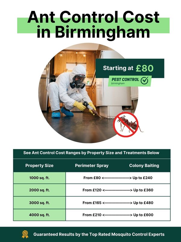 Ant control prices in Birmingham