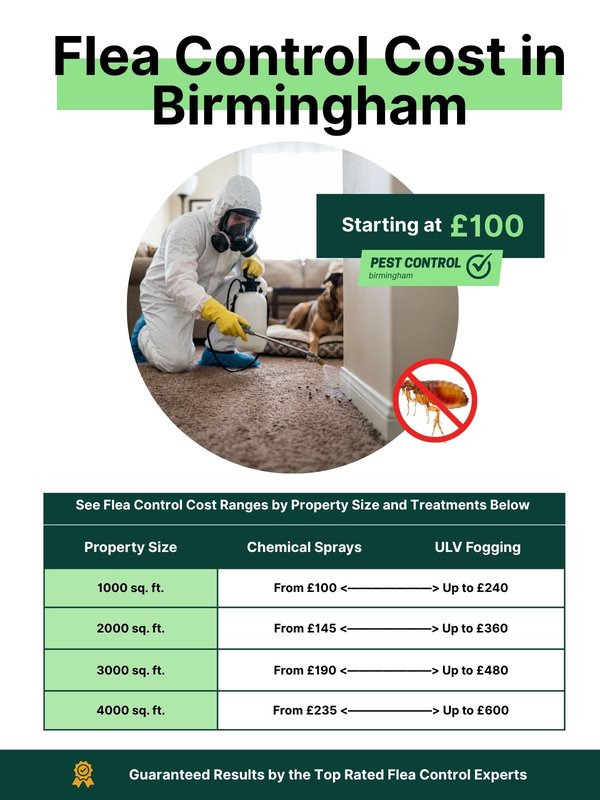 Flea control prices in Birmingham