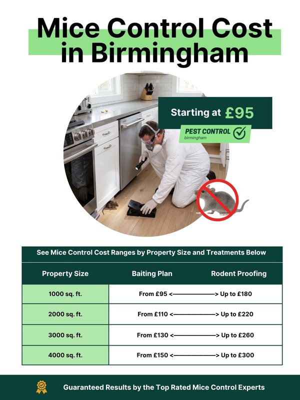Mice control prices in Birmingham