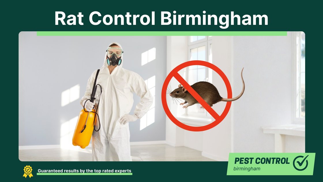 Rat control in Birmingham