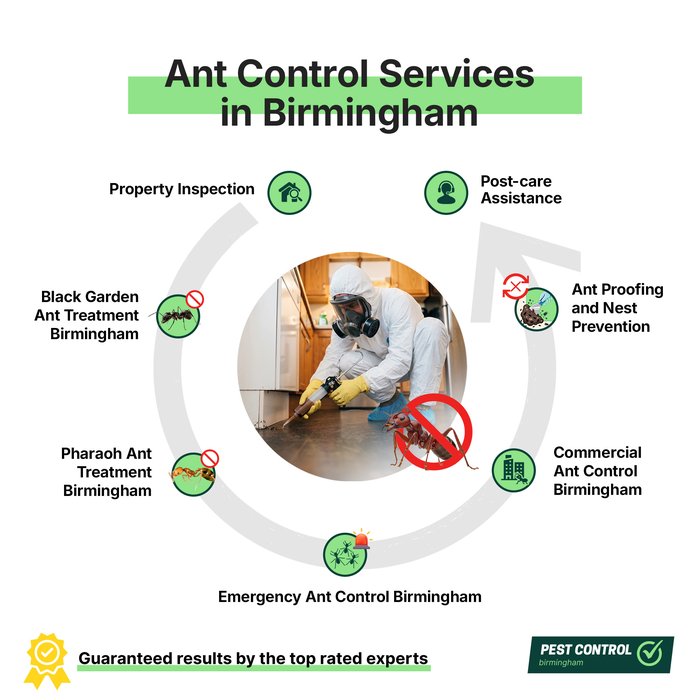 Ant control services in Birmingham offered by Pest Control Birmingham