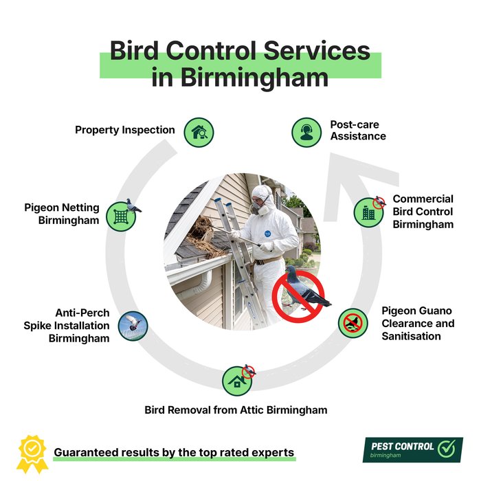 Bird control services in Birmingham offered by Pest Control Birmingham