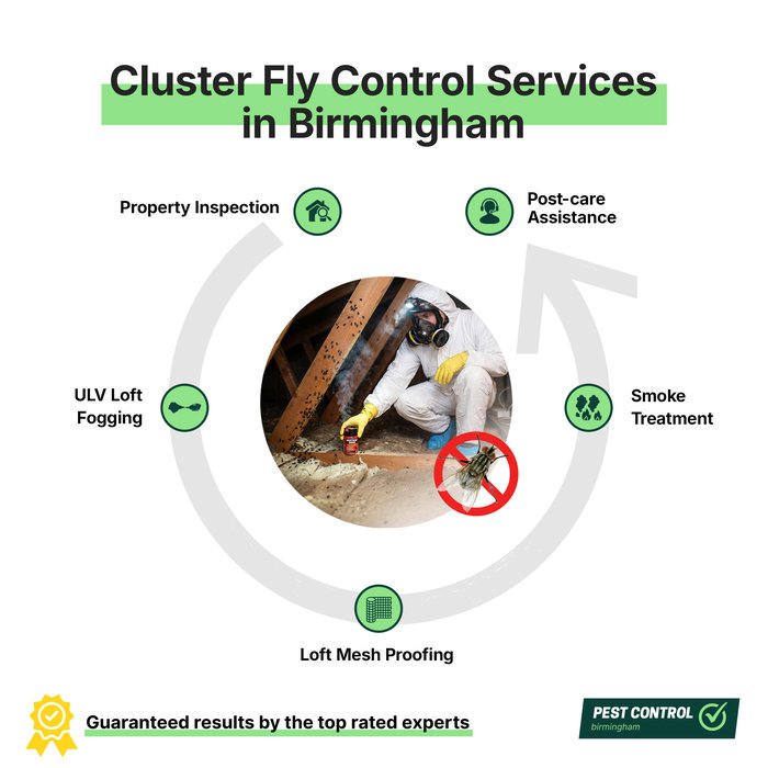 Cluster fly control services in Birmingham offered by Pest Control Birmingham