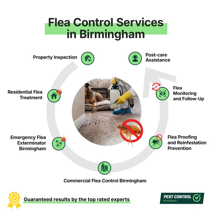 Flea control services in Birmingham offered by Pest Control Birmingham