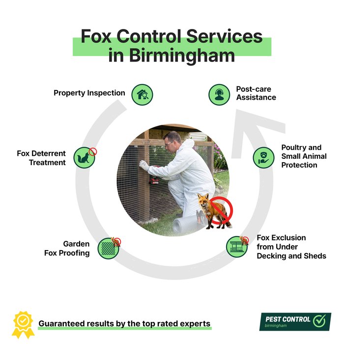 Fox control services in Birmingham offered by Pest Control Birmingham