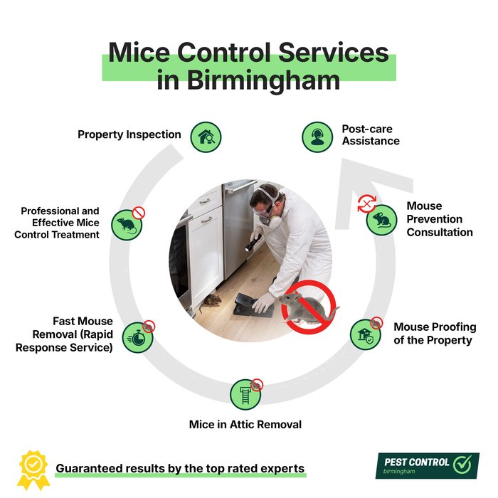Mice control services in Birmingham offered by Pest Control Birmingham