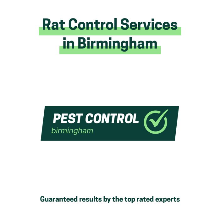 Rat control services in Birmingham offered by Pest Control Birmingham