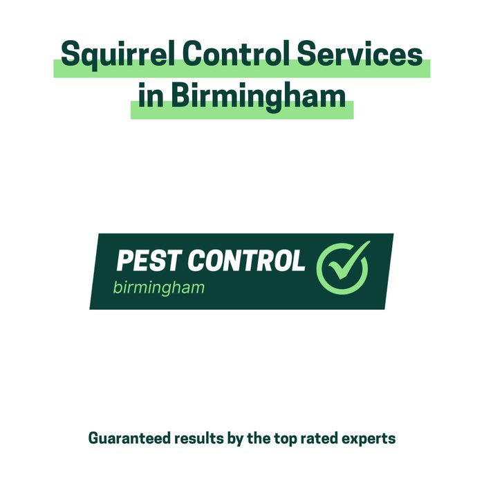 Squirrel control services in Birmingham offered by Pest Control Birmingham