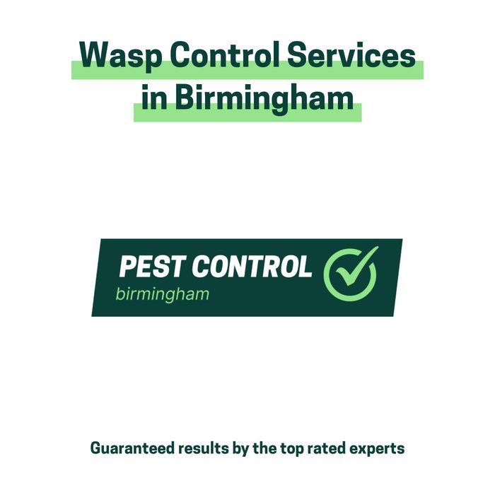 Wasp control services in Birmingham offered by Pest Control Birmingham